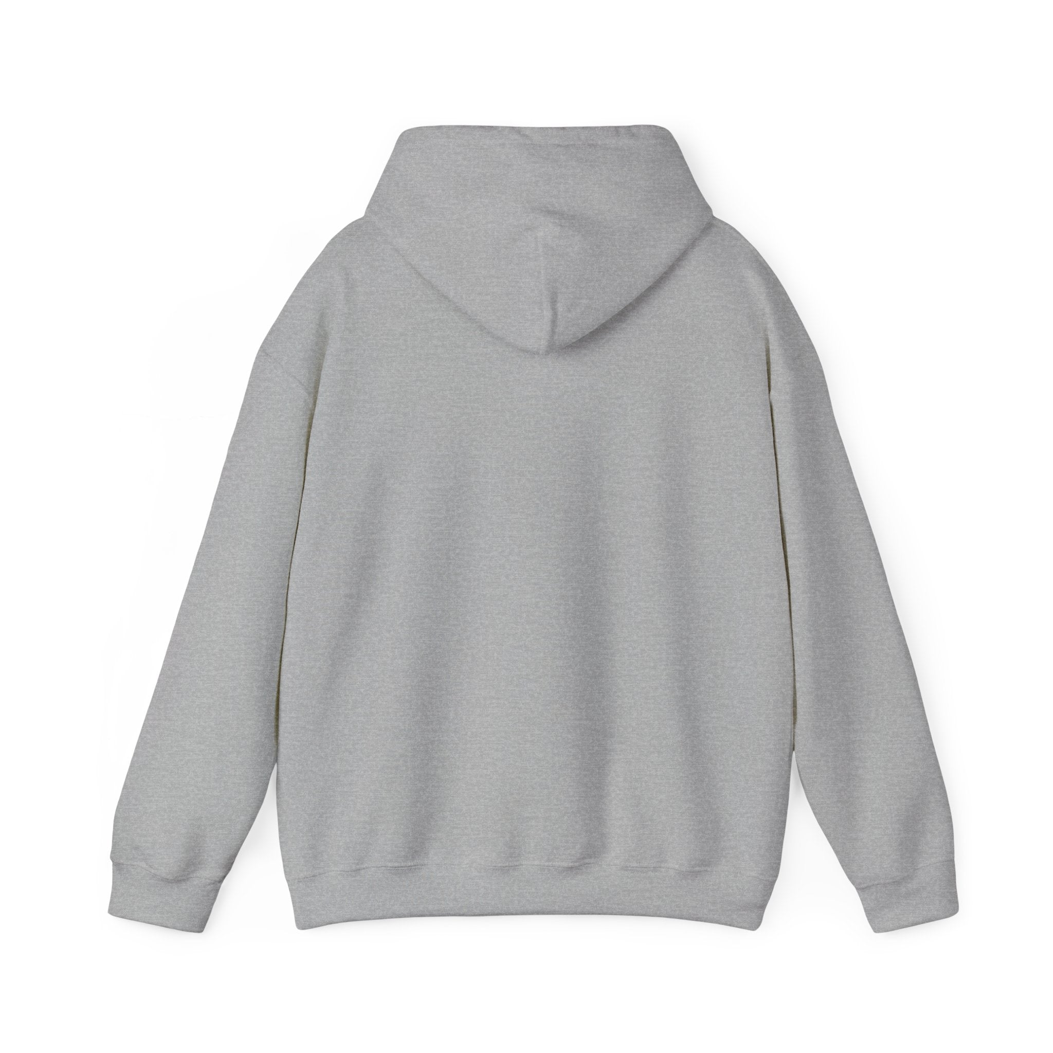 She Rides Basic Hoodie Roze